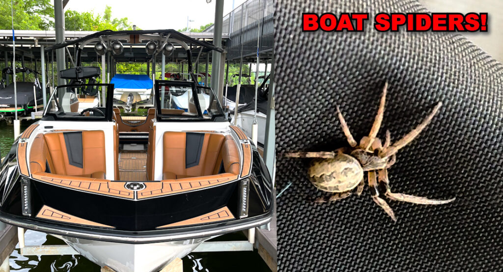 Boat spiders